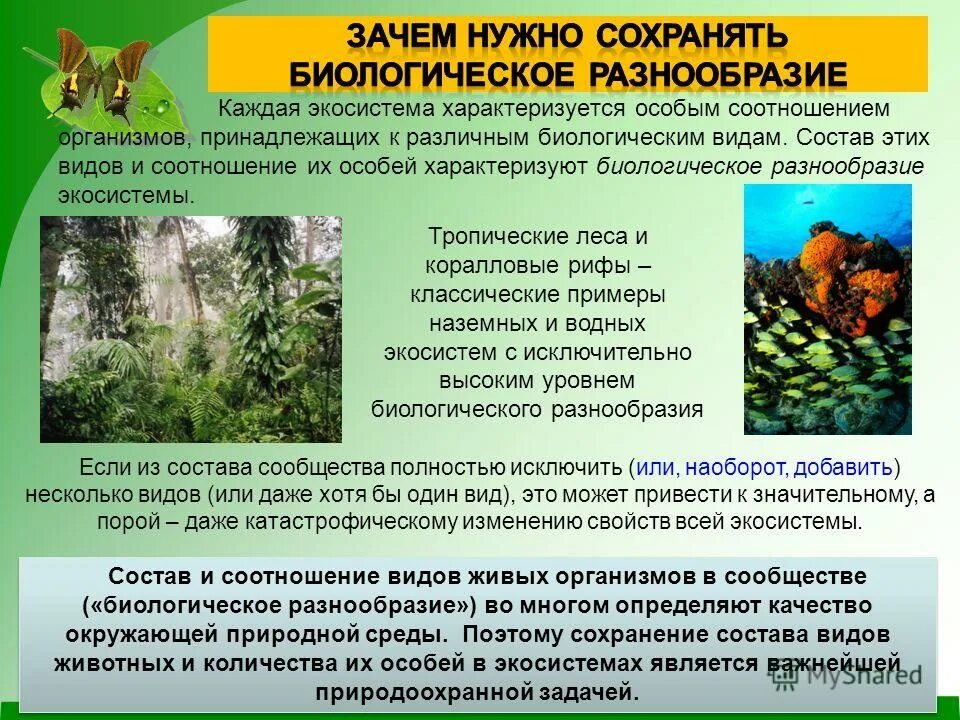 Разнообразие условий среды. Разнообразие животных. Разнообразие условий среды. Условия среды. Виды биоразнообразия.