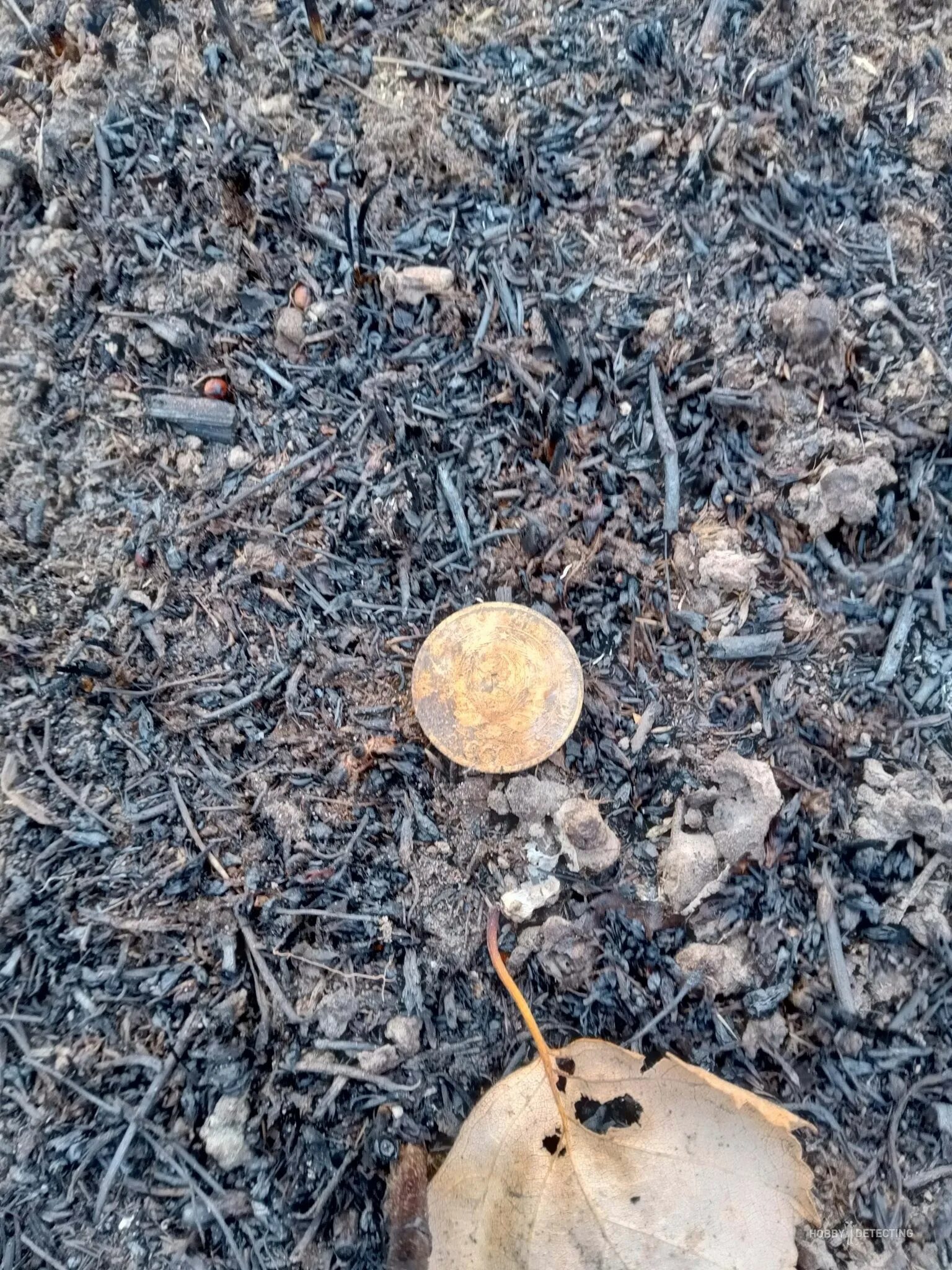 горелов андрей валентинович. перевальная г. горелов андрей иванович. нетипичная находка. археологические находки в астрахани.