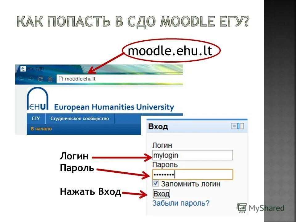 M password. Логин в мудл. Логин СДО. Пароль для мудла. Логин это что такое простыми словами и примерами.