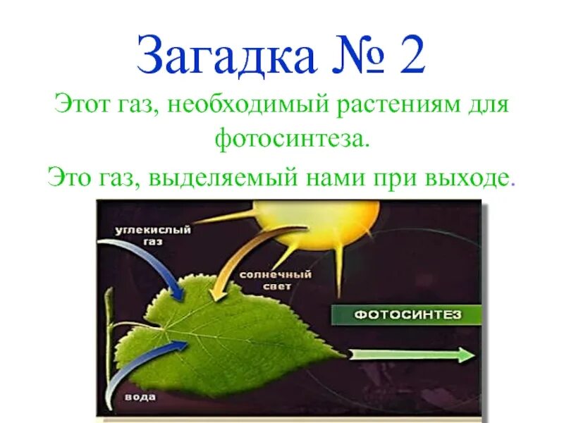 Углекислый газ во время процесса фотосинтеза. Фотосинтез растений. Фотосинтез это процесс образования. ГАЗ необходимый для фотосинтеза. Фотосинтез презентация.