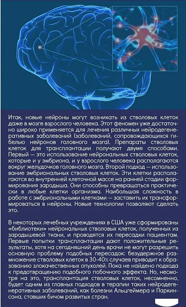 Плотность нервных клеток в мозге является особенностью
