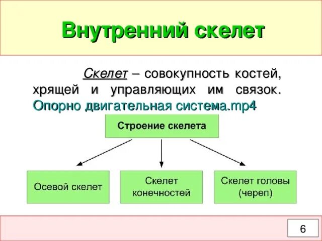 Прочный внутренний скелет