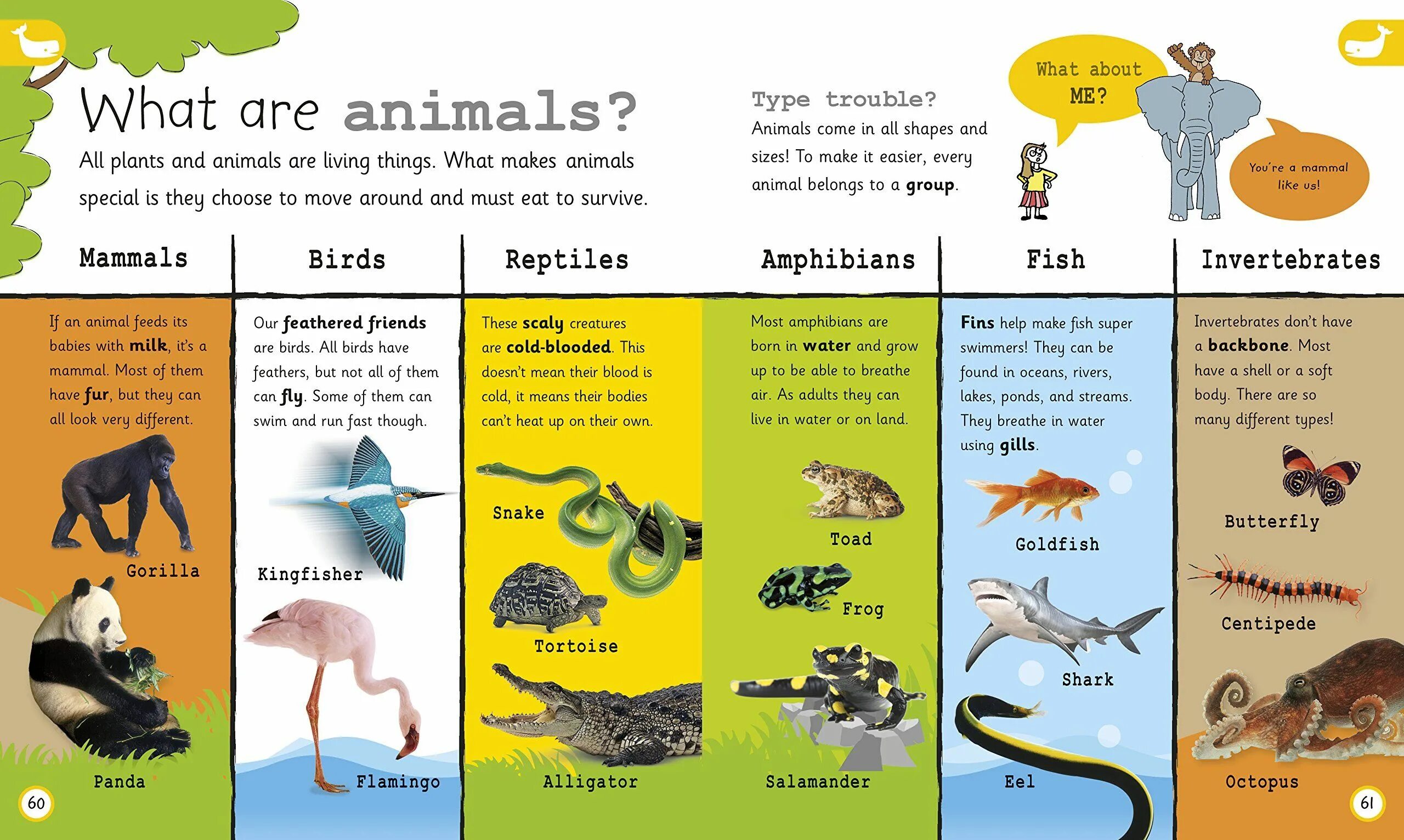 Reptiles mammals. Types of animals. Birds mammals and Reptiles примеры. Mammals and Reptiles Worksheets for Kids. Reptile or mammal.