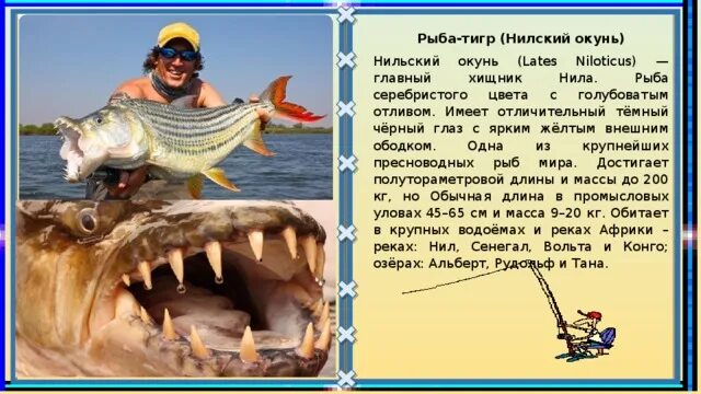 описание знака зодиака рыбы. рыбы мальчики характеристика. рыбы характеристика знака. рыбы мальчики характеристика. рыбы мальчики характеристика.