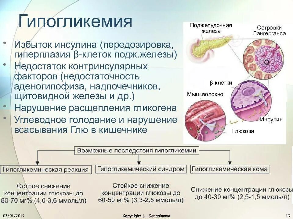 Патофизиология обмена углеводов презентация. Патогенез гипогликемии. Избыток инсулина. Гипогликемия этиология. Поджелудочная железа избыток гормона