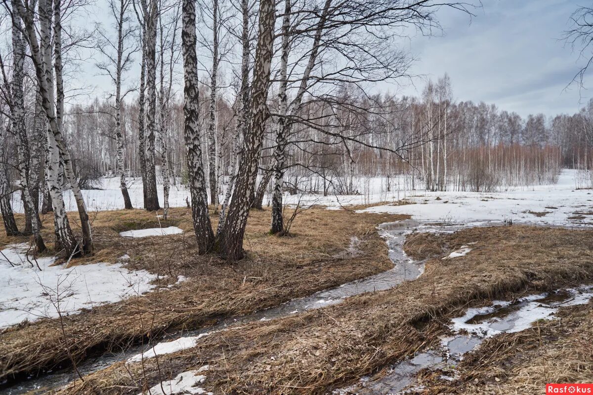 Ручьи признаки. Весенние ручьи. Весенняя природа.