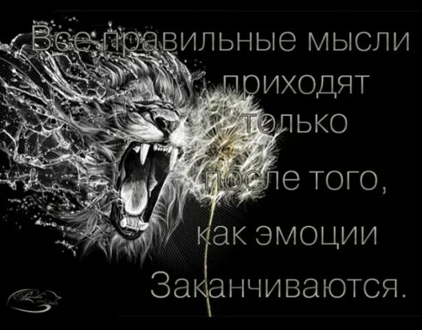 Пришедшая мысль 6 букв. Эмоции заканчиваются. Правильные мысли. Правильные мысли приходят. Мысли приходят когда эмоции заканчиваются.