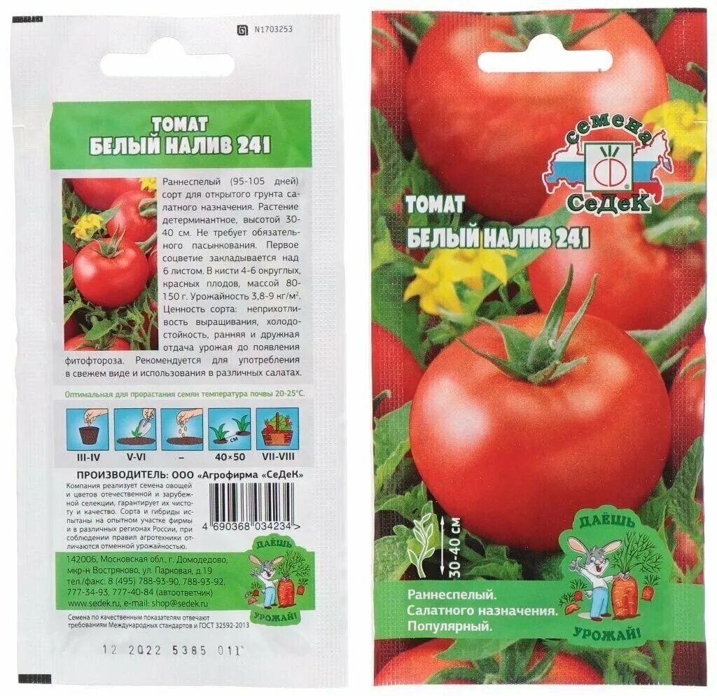 Томат белый налив 241 фото урожайность характеристика. Помидоры белый налив 241. Томат белый налив 241 СЕДЕК. Томат белый налив 241 0,1 г. Томат белый налив 241 1г семена.