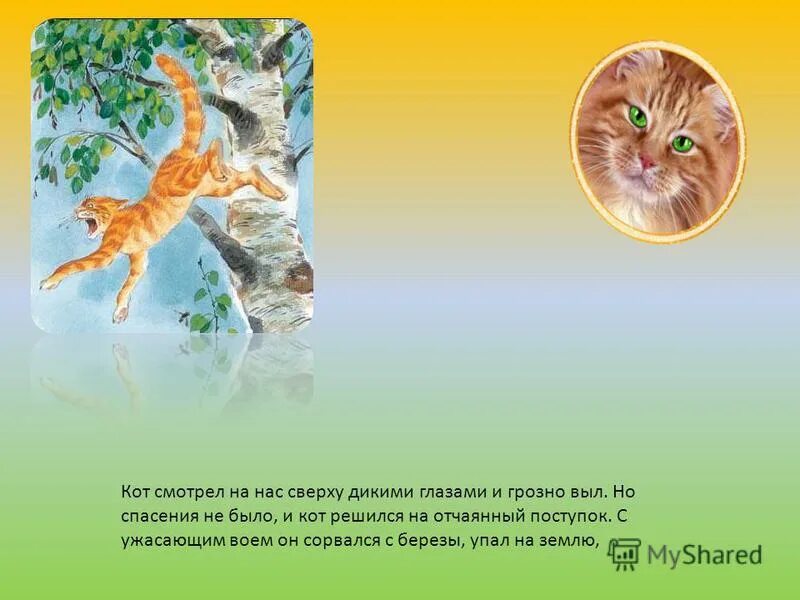 3 класс паустовский к г кот ворюга. 3 класс паустовский к г кот ворюга. кот паустовский кот ворюга. 3 класс паустовский к г кот ворюга. паустовский кот ворюга иллюстрации.