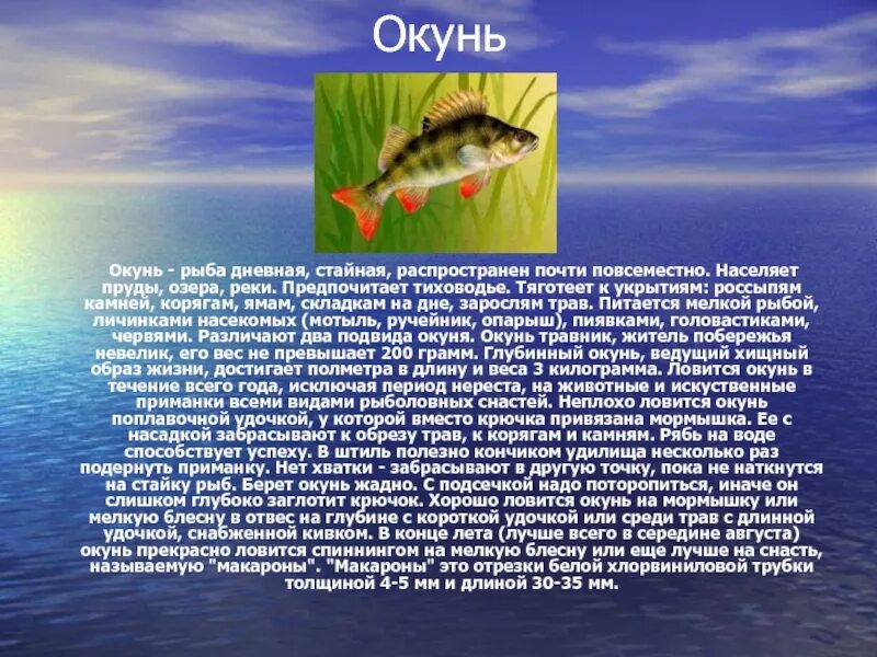Сообщение о водоеме 2 класс