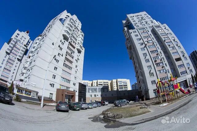 Богатырь воронеж жилой комплекс. Ул бакунина 45 воронеж. Магазин три богатыря дзержинск. Жк три богатыря воронеж бакунина 41. Три богатыря воронеж.