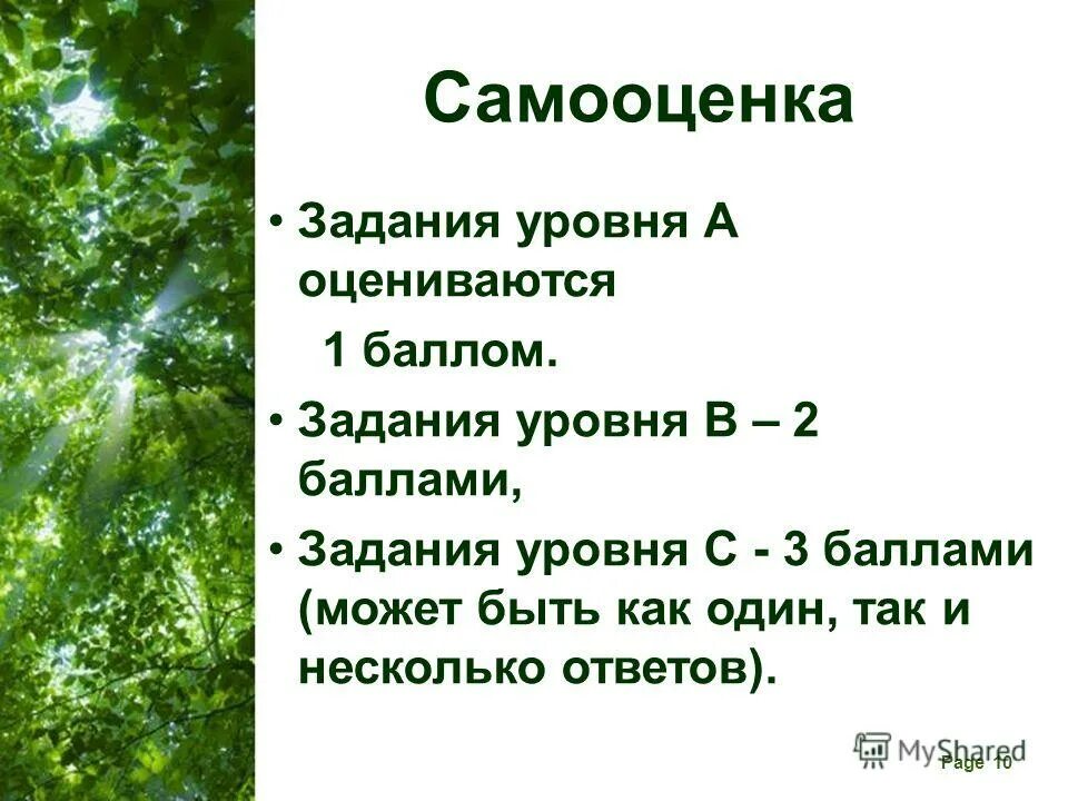 Окружающий мир 4 класс тест леса россии