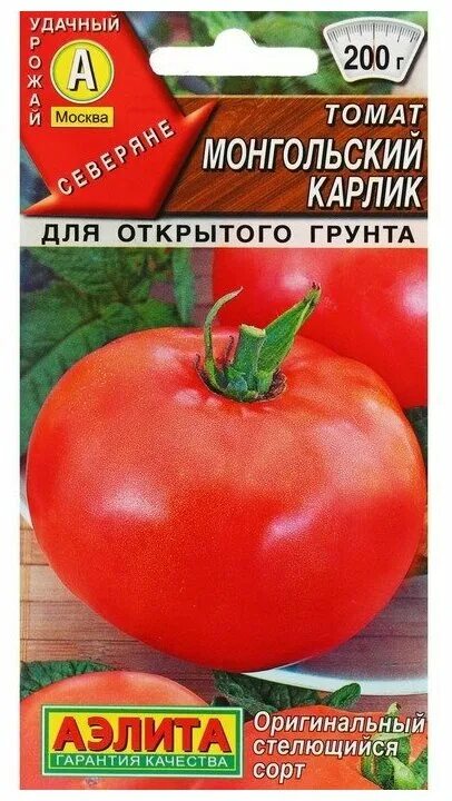 Монгол томат описание и фото отзывы Томат Монгольский Карлик: об урожайности этого сорта ходят легенды! YouTube Ог