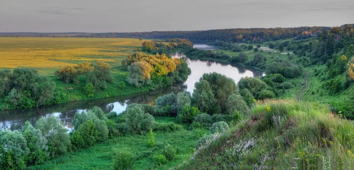 Речной изгиб. Кривец Липецкая область река. Крутогорье Липецкая область. Кривец Липецкая область природа. Кривец река.