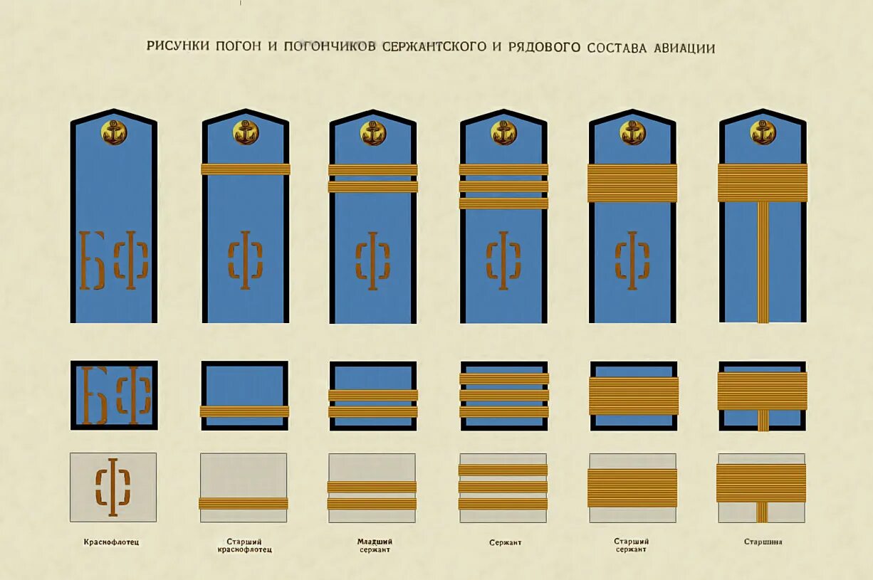 Знаки различия военно морского флота. Погоны ВМФ РФ матрос. Альбом знаков различия ВМФ 1944. Погоны старшинские ВМФ. Знаки различия военно морского флота СССР.