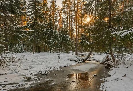 Первый снег и первый лед