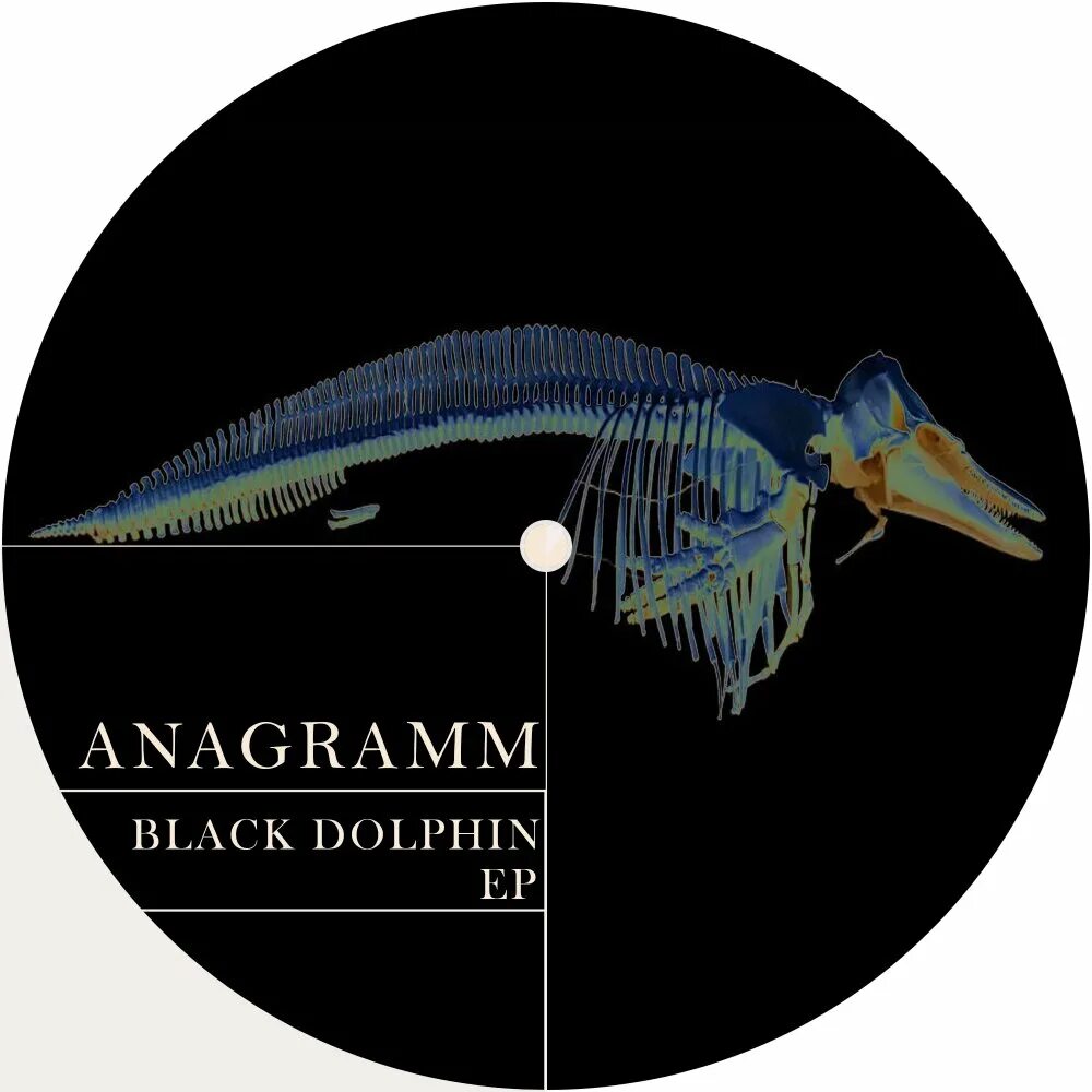 Блэк долфин. Блэк дельфин вольво. black dolphin на вольво. black dolphin auto.