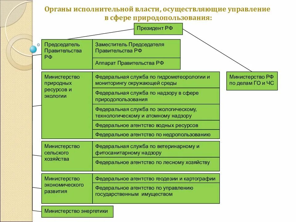 Структура органов управления в сфере природопользования. Схема органов экологического управления. Структура органов экологического управления. Структура органов управления природными ресурсами.