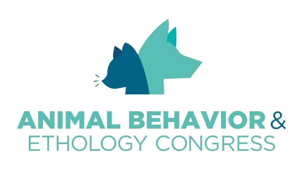 Animal behaviour