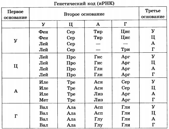 Из днк в ирнк таблица. Таблица генетического кода ИРНК С полными названиями. Таблица генетического кода по биологии 9 класс. Таблица генетического кода по биологии 10 класс. Таблица генетического кода ДНК И РНК.