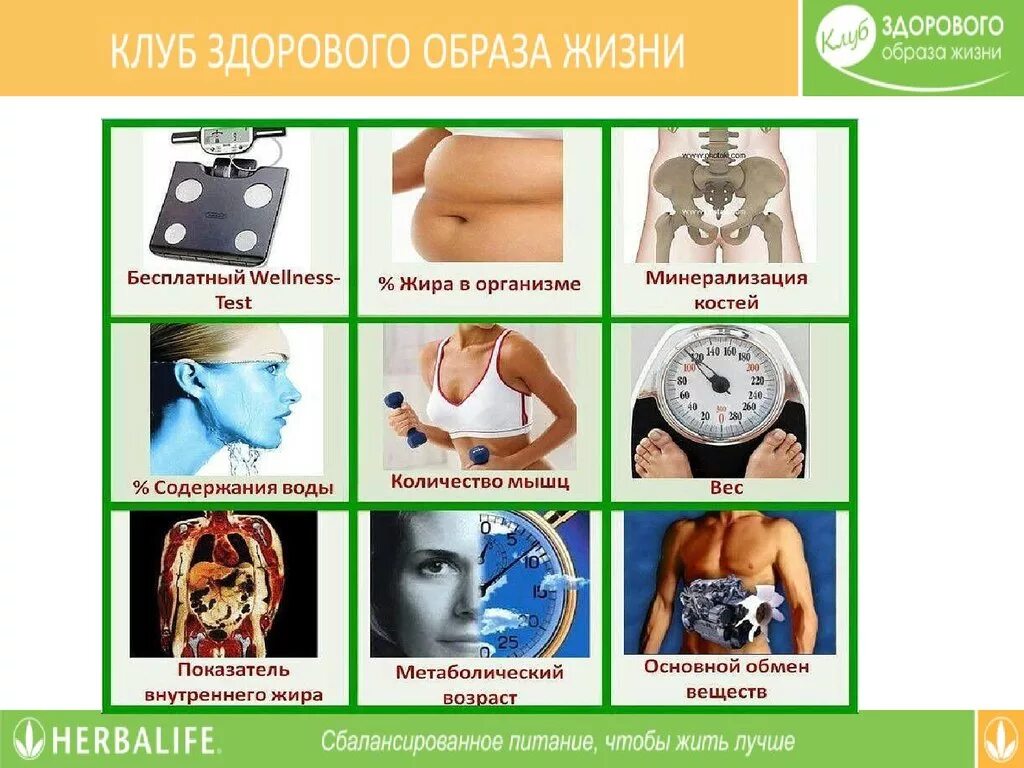 Клуб здоровая жизнь. Клуб зож презентация.