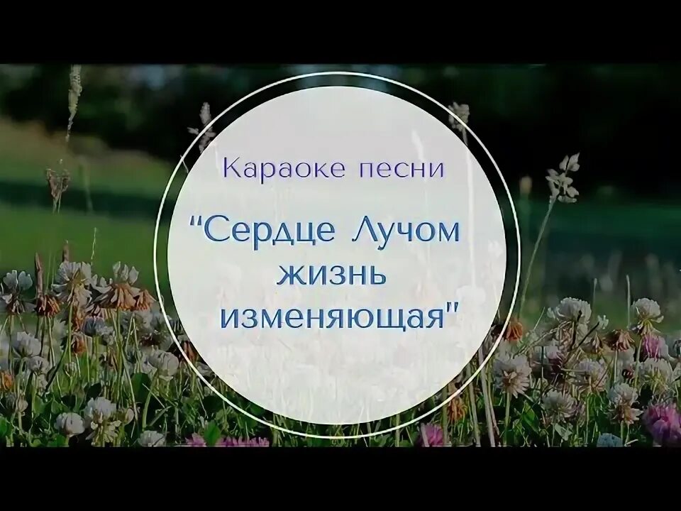 Жизни луч песня. Жизни луч песня. Текст песни чёрное солнышко. Жизни луч песня. Жизни луч песня.