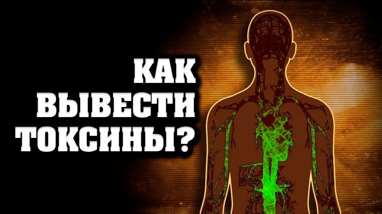 Как выводятся токсины. Выведение токсических веществ из организма. Вывод токсинов из организма. Очищение организма. Органы очищения организма человека.