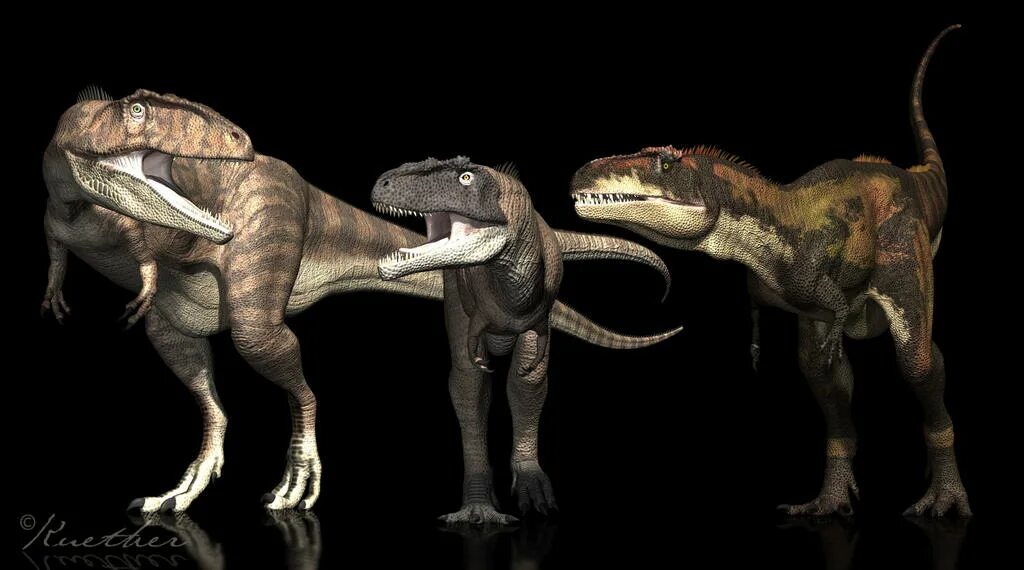Кто сильнее гигантозавра. Гиганотозавр Палео. Гигантозавр и Мапузавр. Мапузавр и Гиганотозавр. Гигантозавр и Тиранозавр.