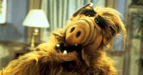 ALF Full House Mr Robot Sitcom Episode.