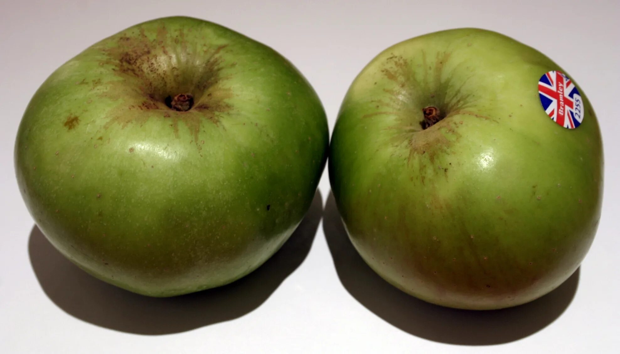Яблоко 2 сорт. Брамли яблоко. Антоновка (сортотип яблони). Сорта яблок зеленые Крюгер. Зимний сорт зеленых яблок.