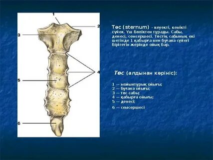 Қыздардағы ең ұсқынсыз кеуделер