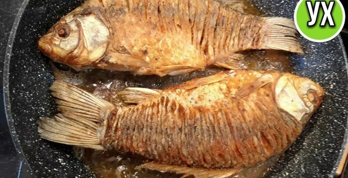 Караси жареные на сковороде без костей. Жареная рыба карась. Карась без костей. Жареный карась без костей. Жареный карась.