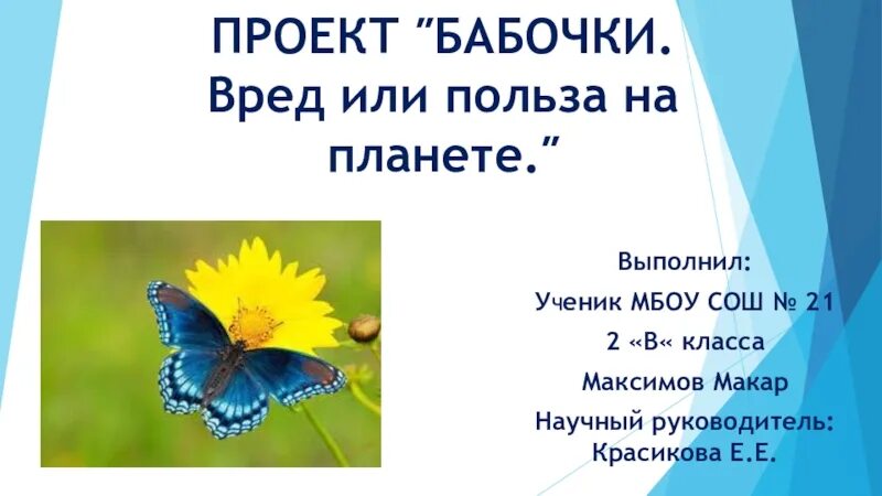 Какой вред бабочек. Вред бабочек. Польза и вред бабочек. Польза и вред бабочек в природе. Бабочка польза или вред.