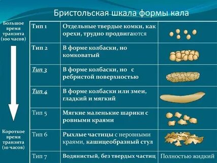 Густой кал у взрослого