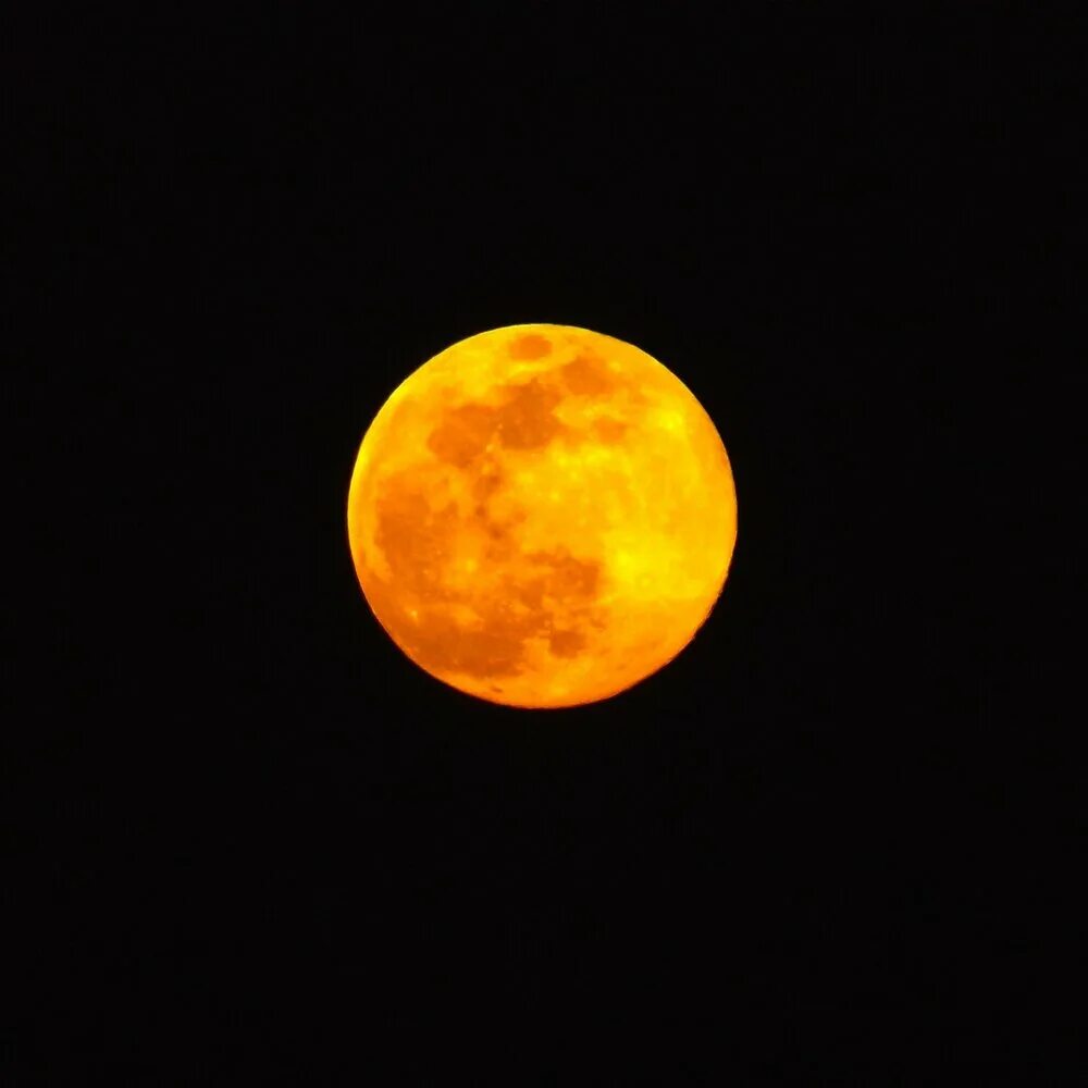 Le lune. Желтая Луна. Луна желтая большая. Желтая Луна на черном фоне. Желтое полнолуние.
