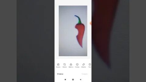 Перец прямой эфир