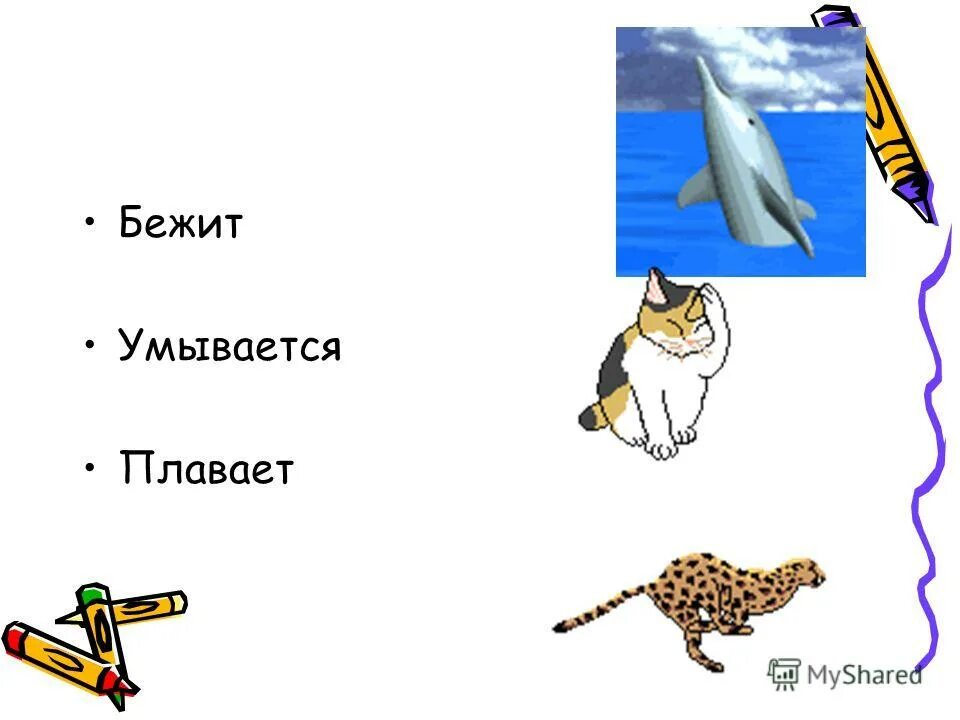 Беги умываться