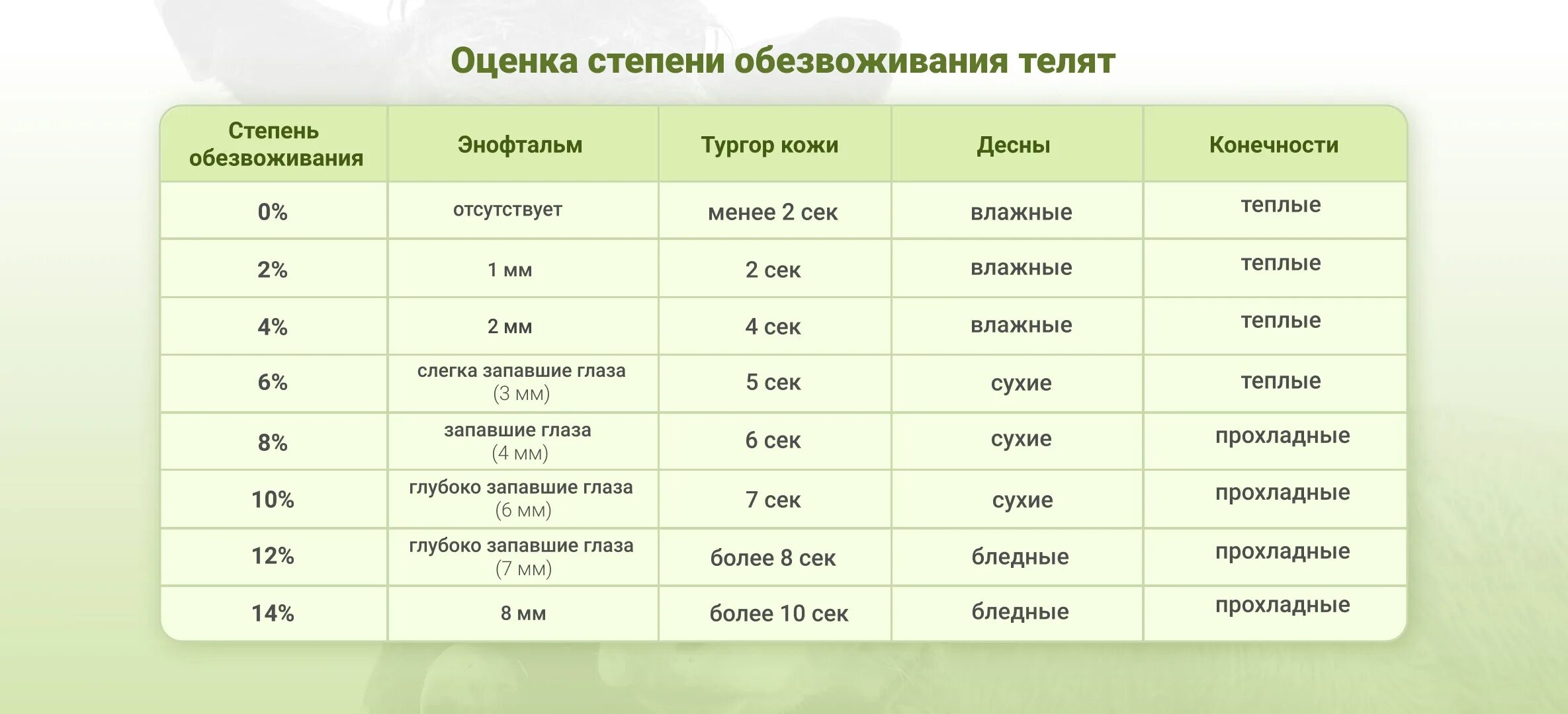 Обезвоживание у телят. Колибактериоз молодняка крс. Диспепсия молодняка крс. Диспепсия молодняка крс. Беломышечная болезнь молодняка.