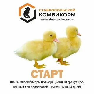 Ставрополь комбикорм