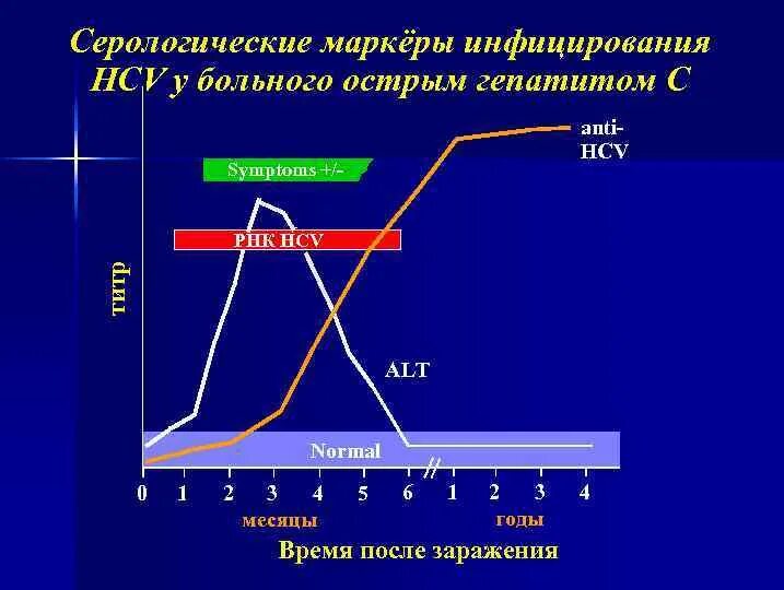 Маркеры острого гепатита. Серологическое окно при гепатите в. Маркеры гепатитов. Серонегативный период ВИЧ. Острый гепатит с серологическое окно.