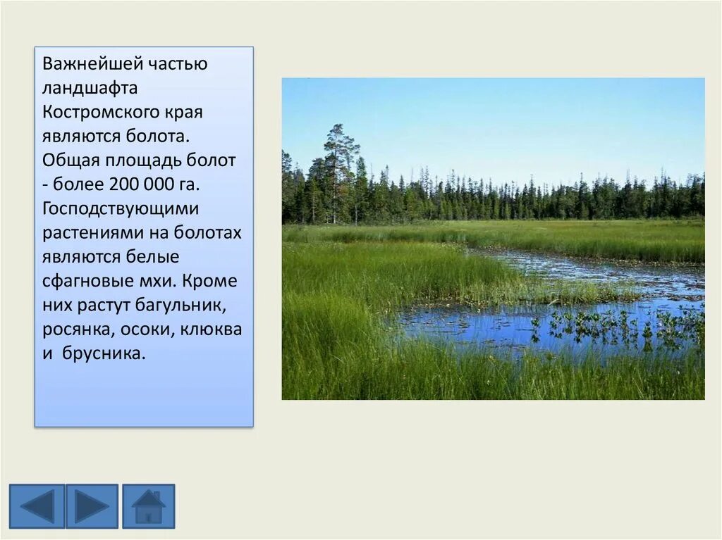 Какие организмы составляют болото. Водные богатства Костромской области. Водные богатства Костромского края. Водные богатства Костромского края 2 класс. Презентации про Костромскую область.