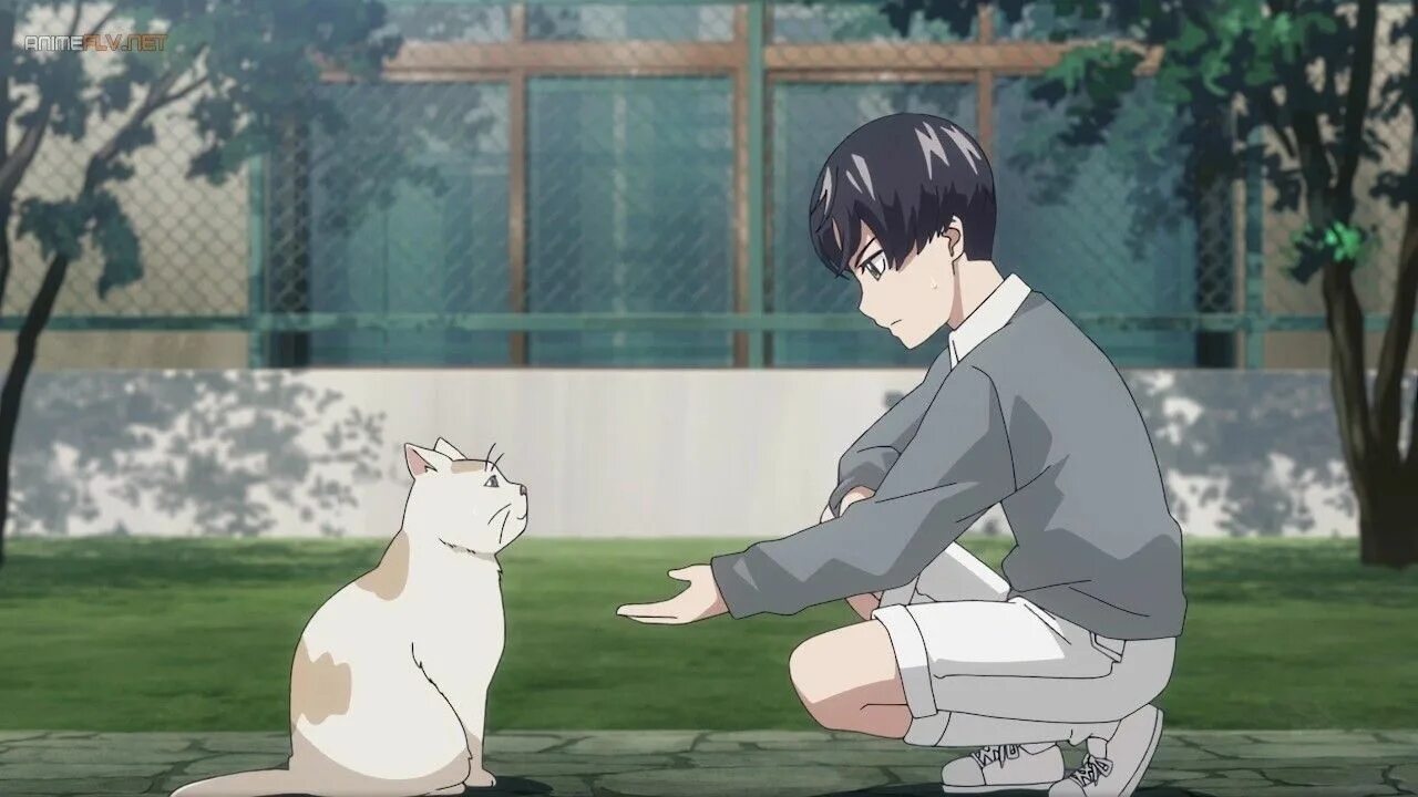 Чистый урод аояма кун. Чистюля аояма / keppeki danshi! aoyama-kun. чистюля аояма и одагири.