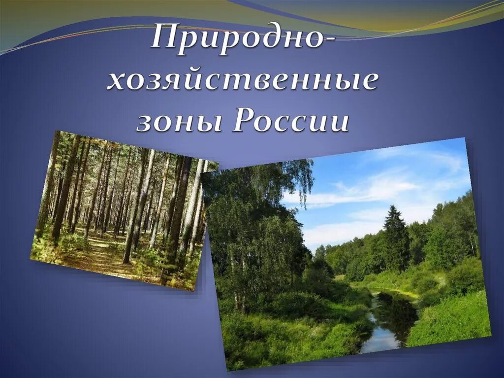 Информация о природно хозяйственных зонах. Природно хозяйственные зоны России. Природа хозяйственные зоны России. Природно-хозяйственные горы России. Пророднохозчйственные зоны России.