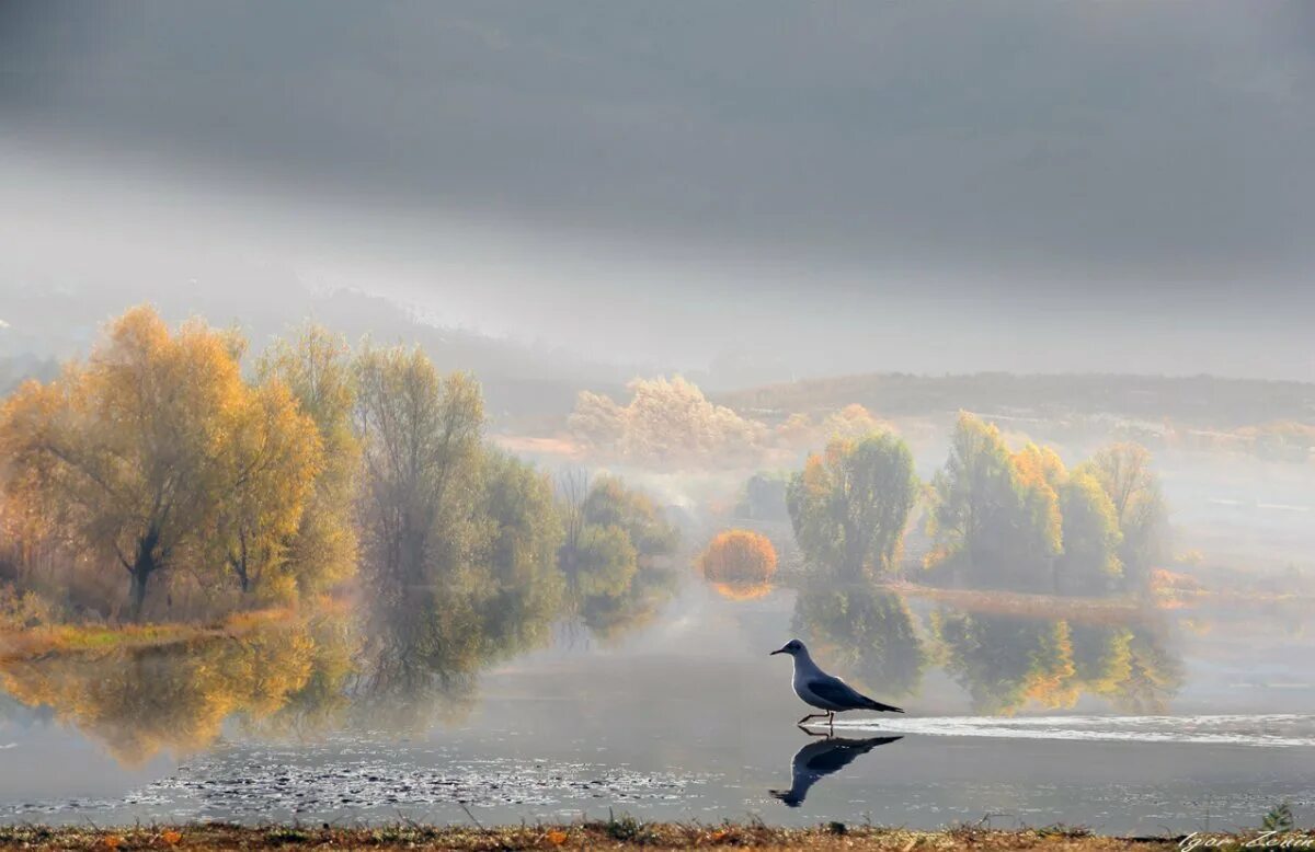 Весенний ветер предложение. Весенний ветер предложение