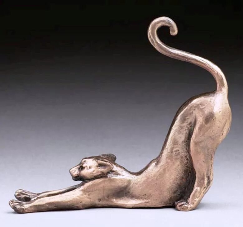 Что значит грация кошки. Кошачья грация. кошачья гибкость. грациозность кошки. гибкая кошка.