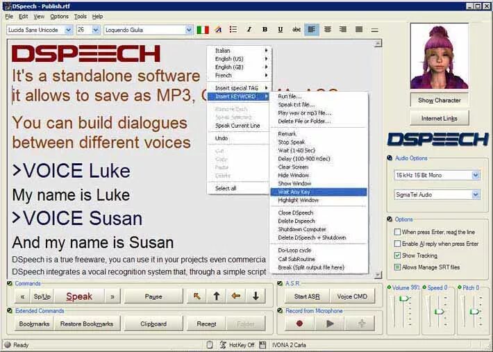 Allows links. Standalone программа. Standalone software. Standalone software партнерка. Voice Audio Reader.