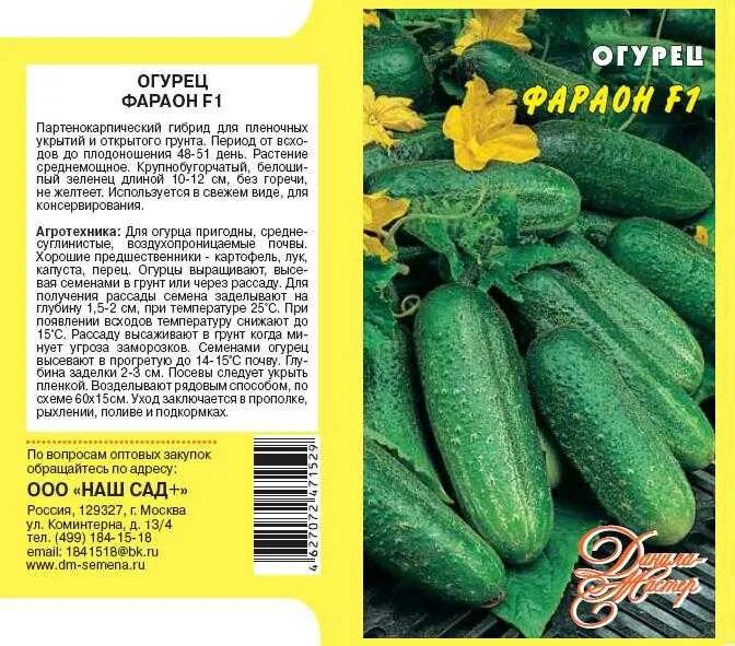 огурец вятич f1. огурец f1 арарат. огурец sx-1201 f1. сорт огурцов маринда f1. огурец сигурд f1.