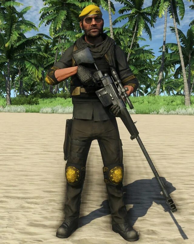 Far cry 3 пираты васа. Фар край 3 наёмники хойта. Пираты вааса far cry 3. Пираты васа из far cry 3. Фар край 3 пираты.