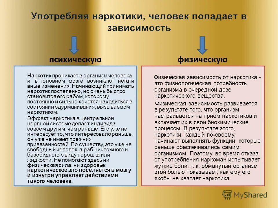 Пример из жизненного опыта. Нравственный поступок пример из жизни. Основная мысль рассказа неизвестный цветок. Второй аргумент для сочинения. Пример доброты из жизненного опыта.