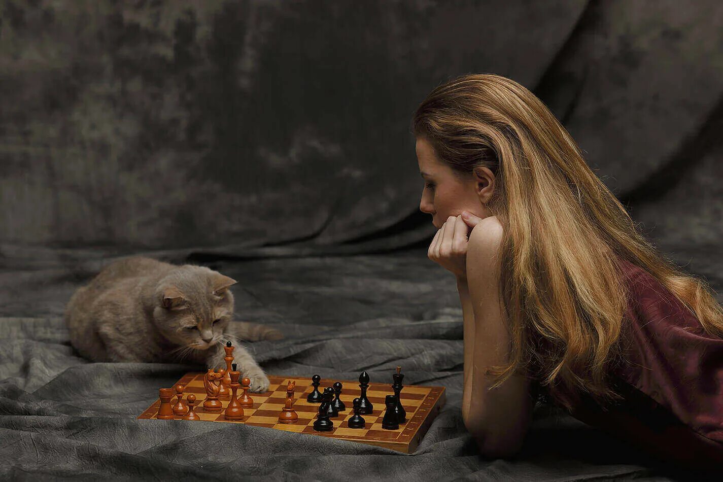Девушка и шахматы. Шахматы кошки. Шахматы для девочек. Девушка играет в шахматы. Девочка играет в шахматы